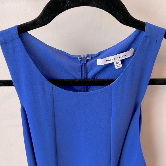 Naked Zebra Dress - Picture 3 of 5